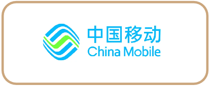 世界500强合作伙伴 2